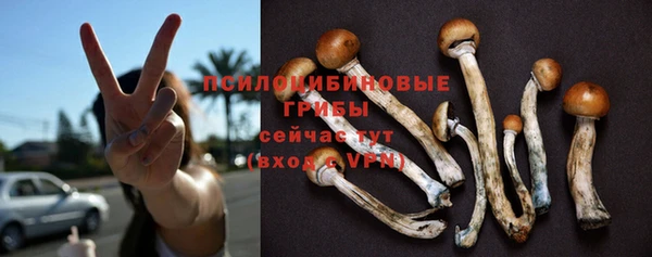 кристаллы Инта