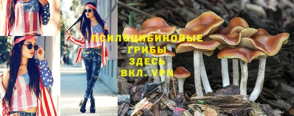 тгк Иннополис