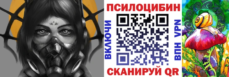 наркошоп  Верхний Тагил  Галлюциногенные грибы мицелий 